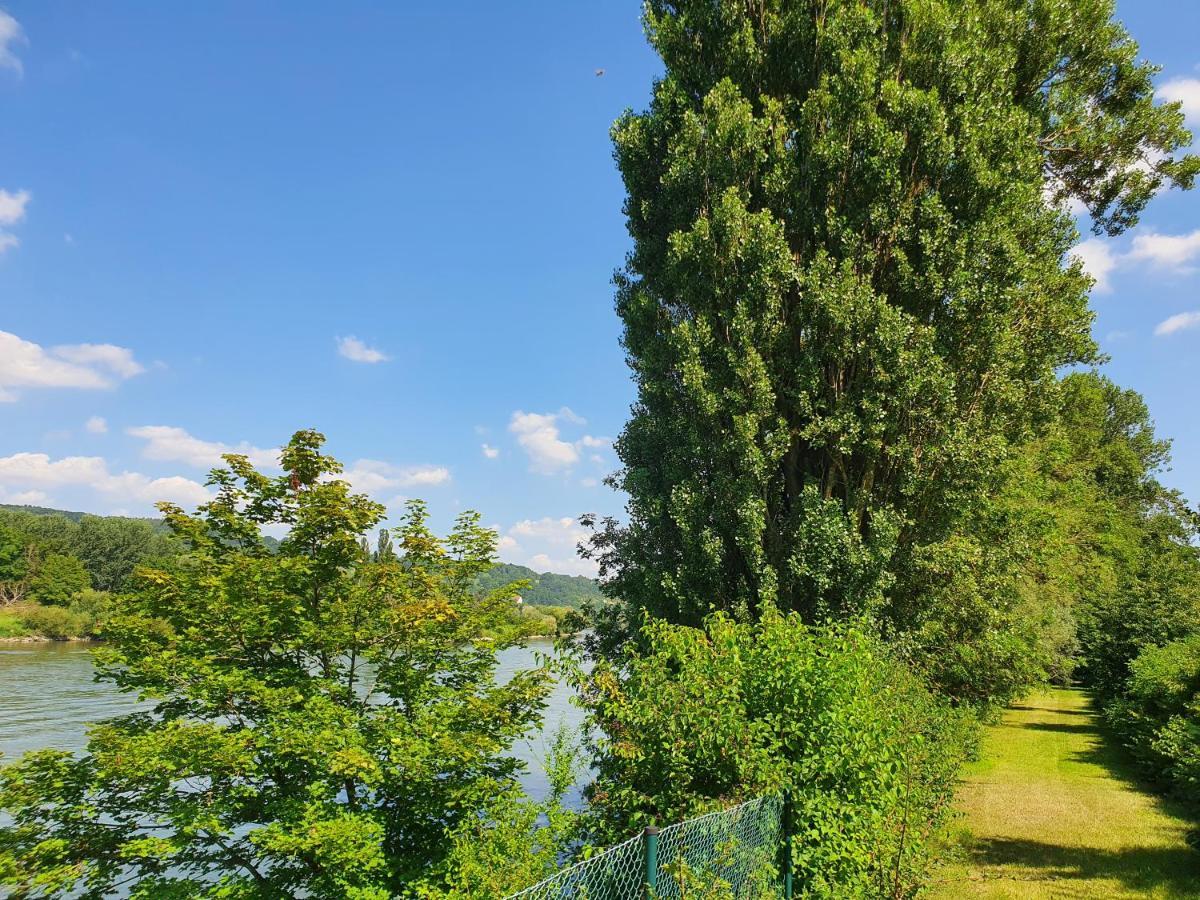 Ferienhaus am Donauspitz Kelheim Exterior foto